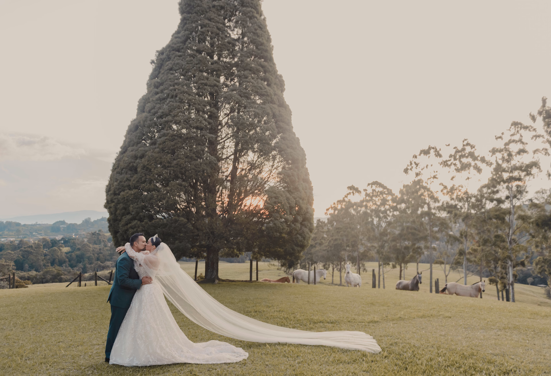 Newlyweds in a destination wedding portrait
